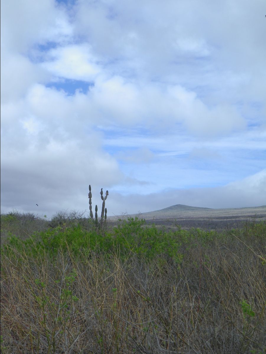 Galapagos Islands12